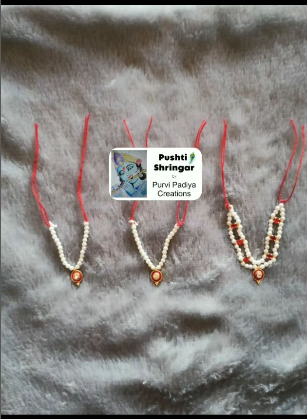 પુષ્ટિ શ્રીંગાર — photo 3